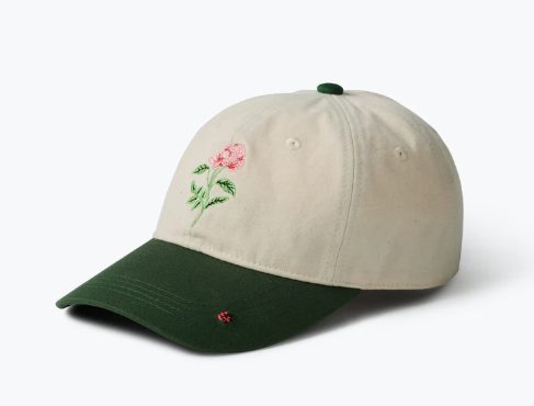Garden Study Baseball Cap