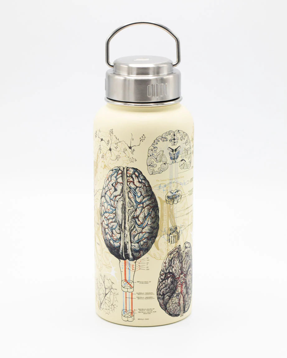 Brain & Neuroscience 32 oz Steel Bottle