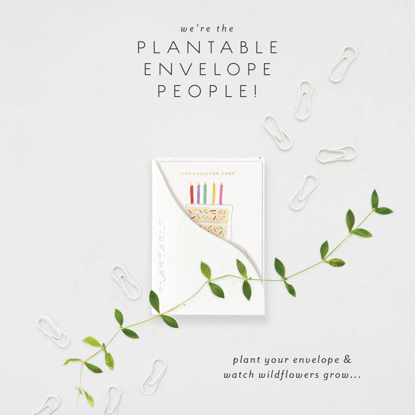 Birthday Slice Sprout - Birthday Mini Greeting Card