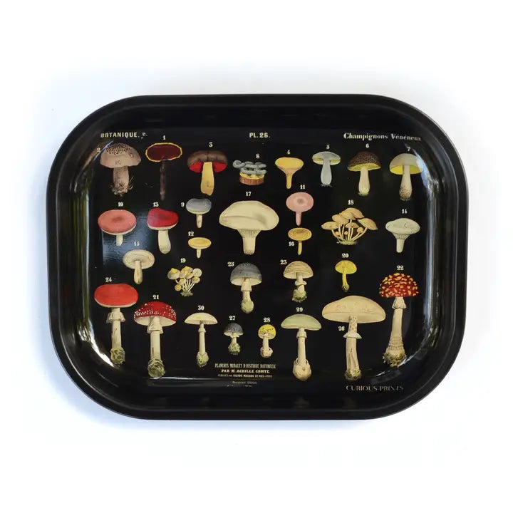 Small Metal Black Mushroom Ritual Tray / Rolling Tray