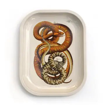 Small Metal Snake Ritual Trinket Tray / Rolling Tray