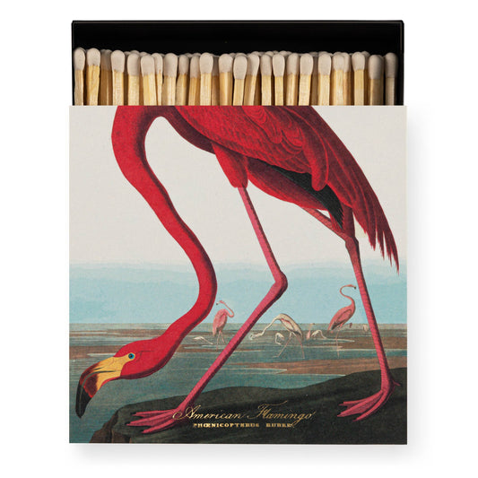 The American Flamingo  | Square - Safety Matches