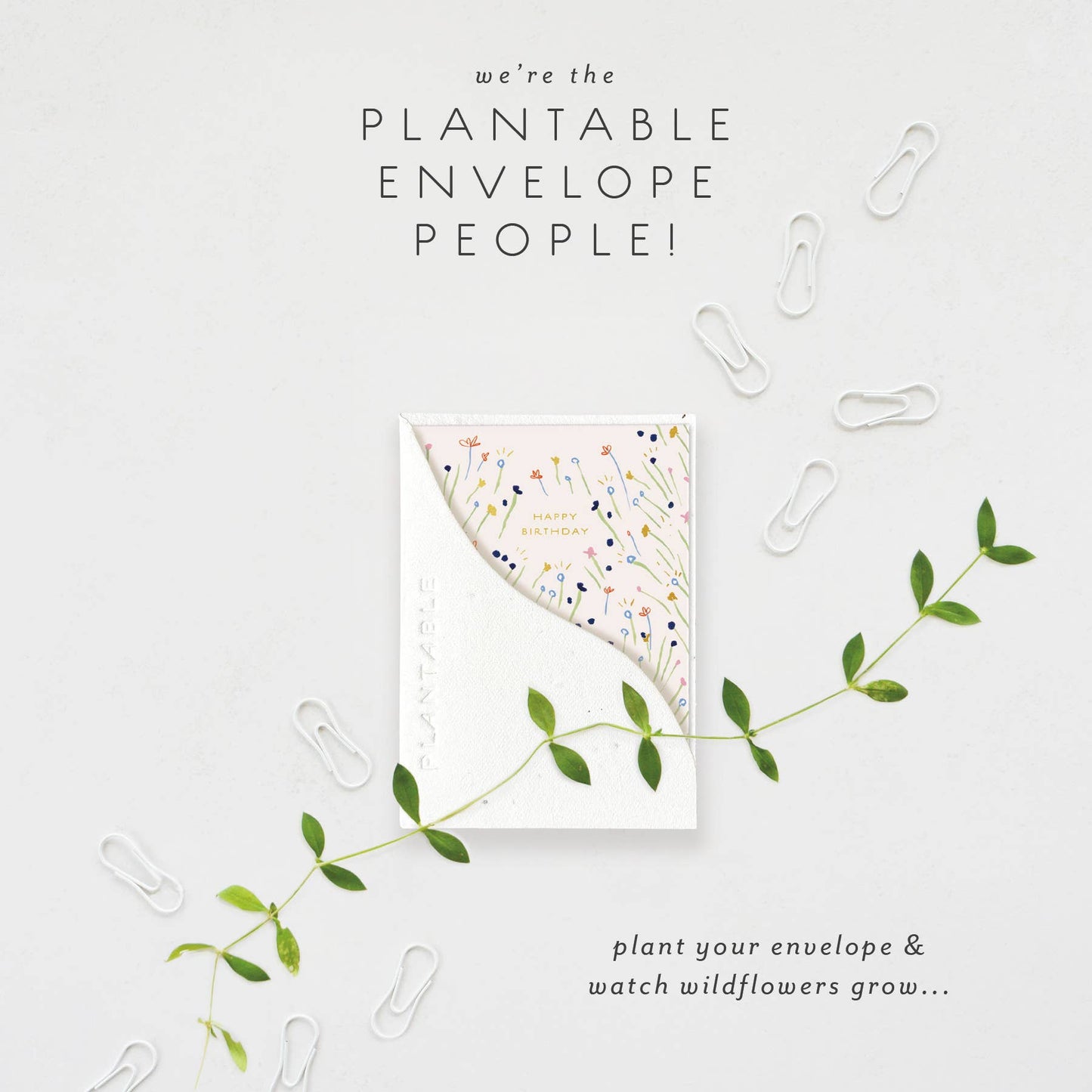 Sweetest Stems Sprout - Birthday Mini Greet Card (2.5"x3.5")
