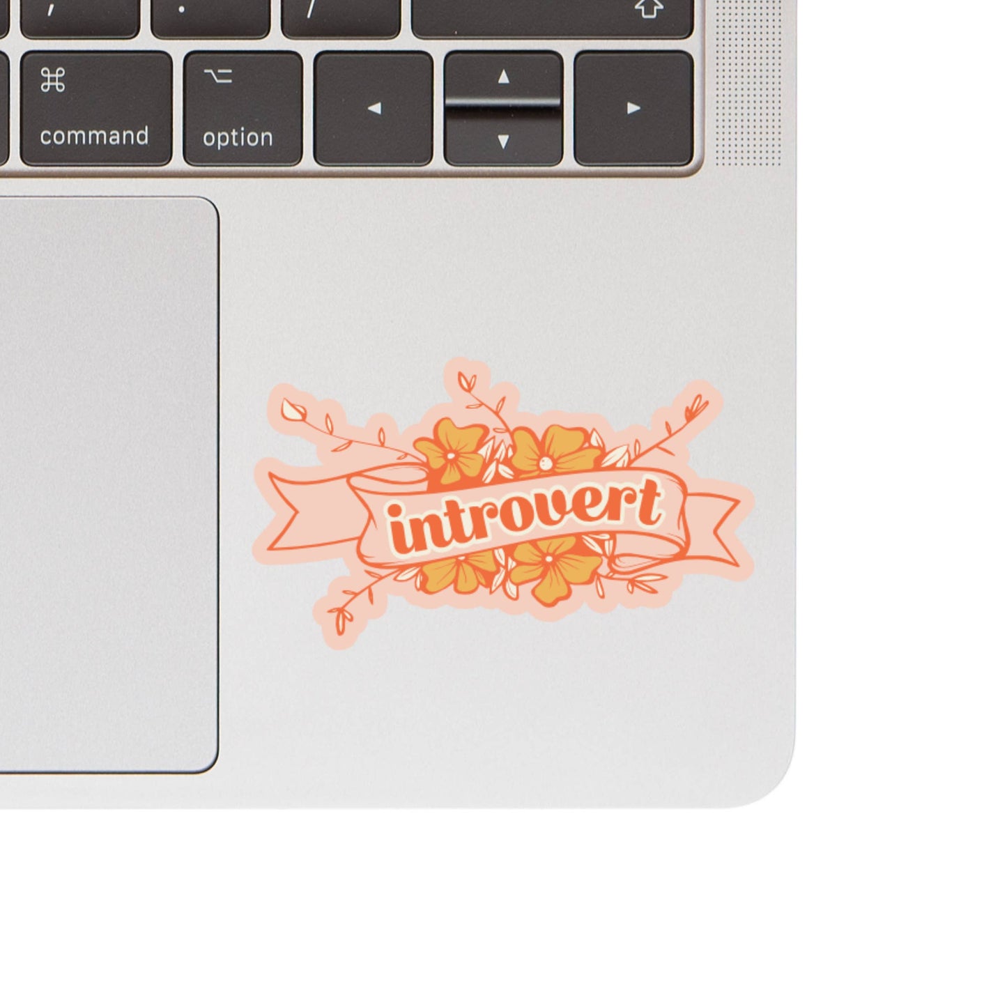 Introvert Identity Personality High Quality Vinyl Sticker
