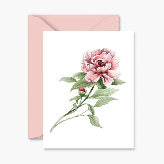 Peony Everyday Greeting Card