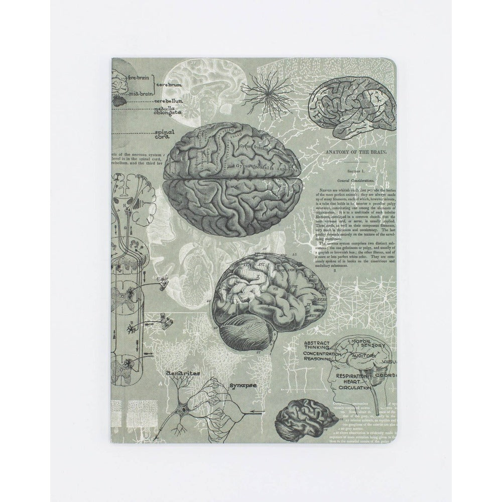 Brain Softcover Notebook | Dot Grid