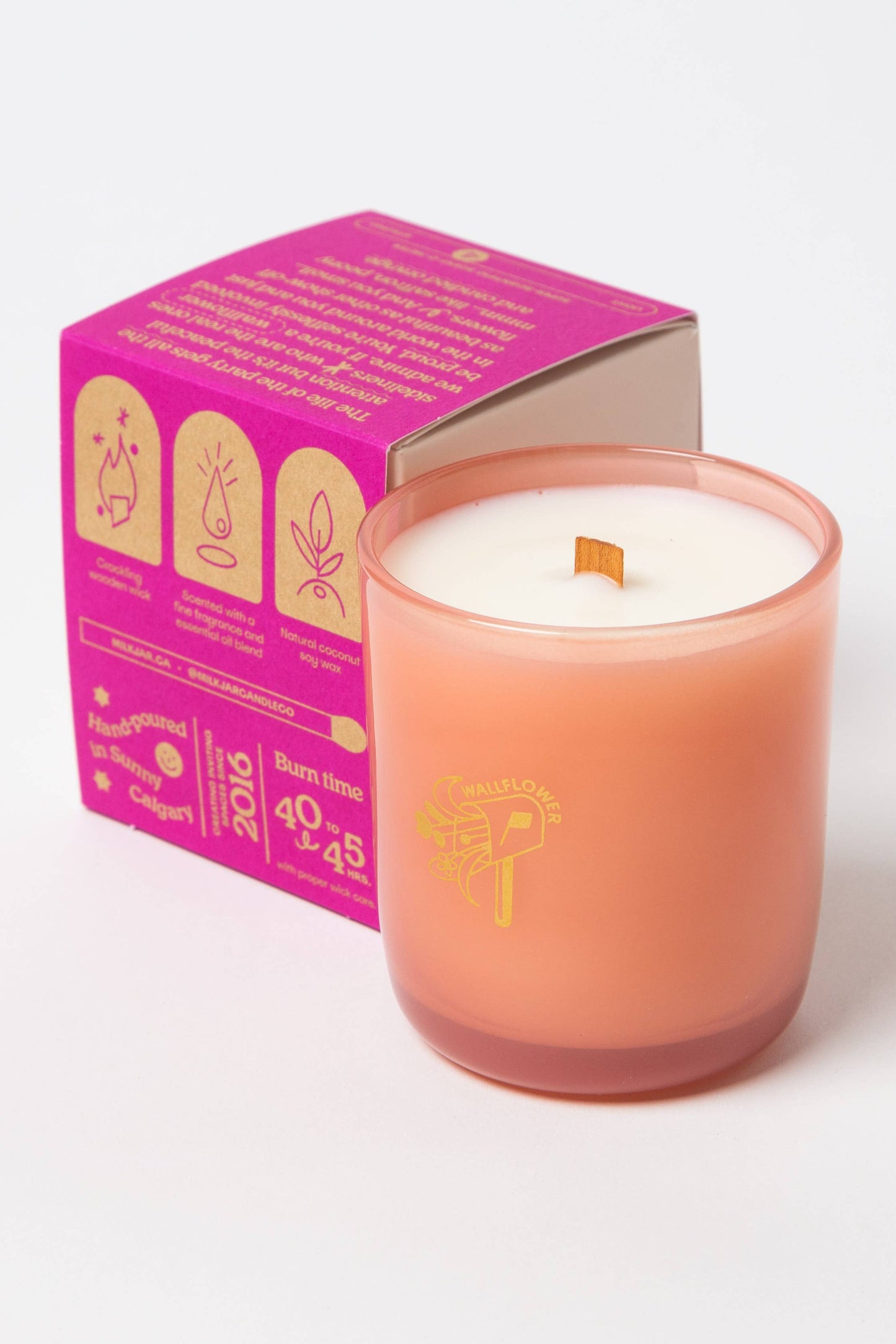 Wallflower | 8oz Coconut Soy Candle