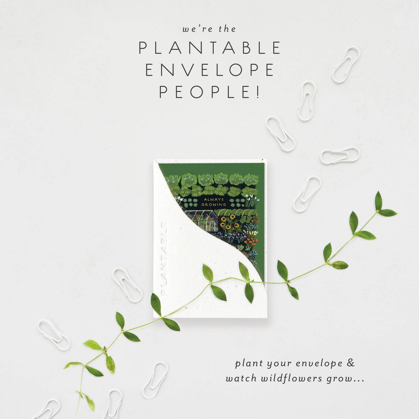 Garden Greenhouse Sprout - Birthday Mini Greeting Card