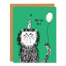 Snitty Kitty Birthday Greeting Card