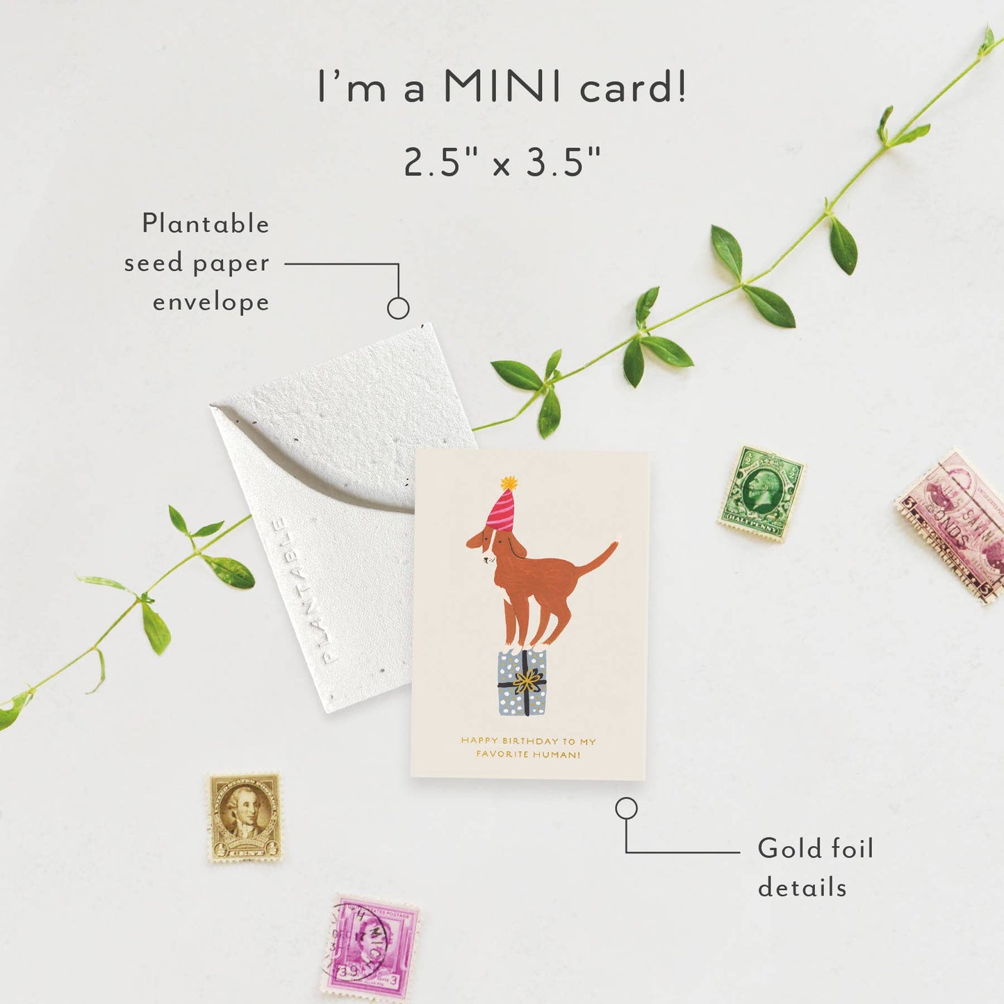 Birthday Dog Sprout - Bday Mini Greeting Card (2.5" x 3.5")