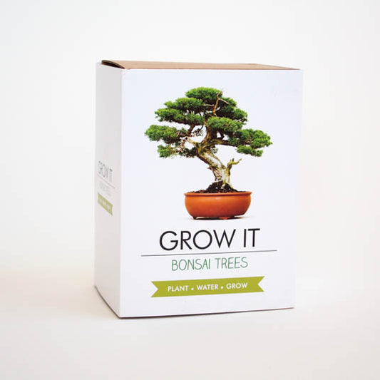 Grow It | Bonsai Trees