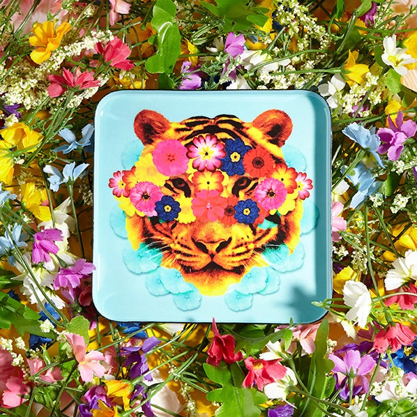 Masktiger Trinket Tray