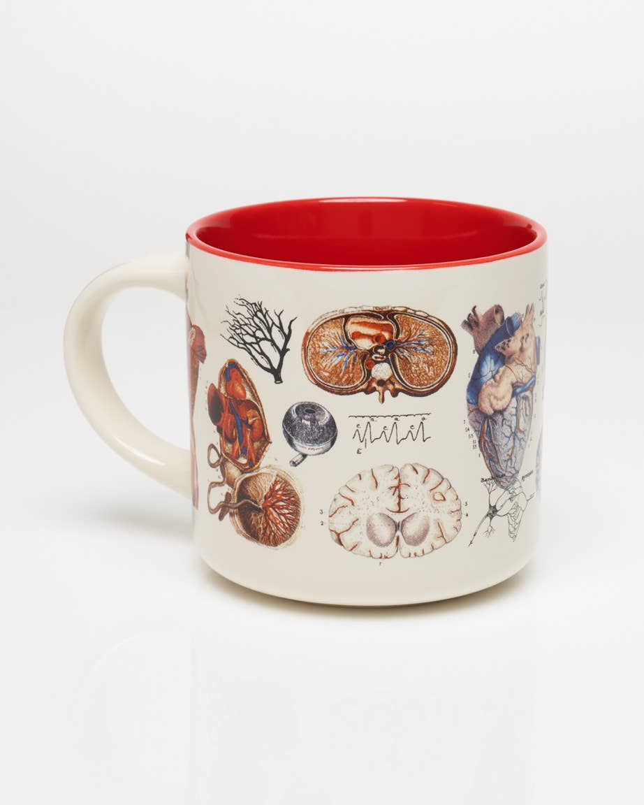 Anatomy: Vascular Ceramic Mug