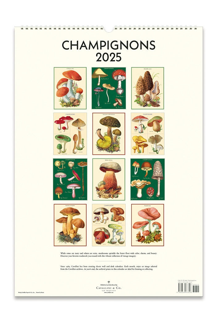 Champignons Wall Calendar