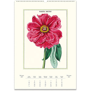 Wall Calendar | Botanica