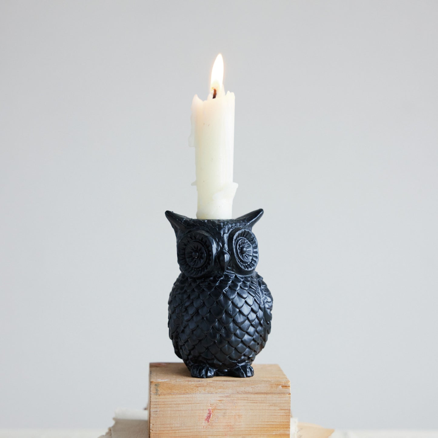 Resin Owl Shaped Candle Holder