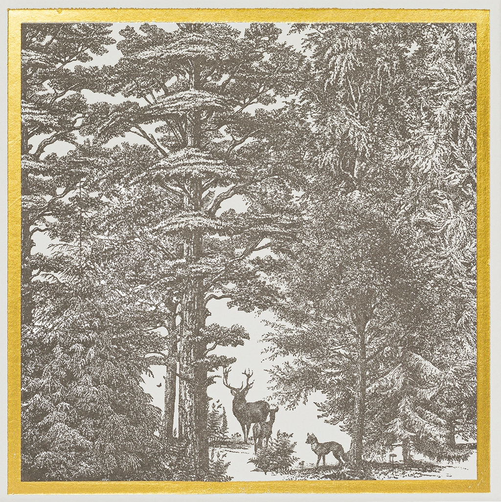 Enchanted Forest Matches | Square - Safety Matches