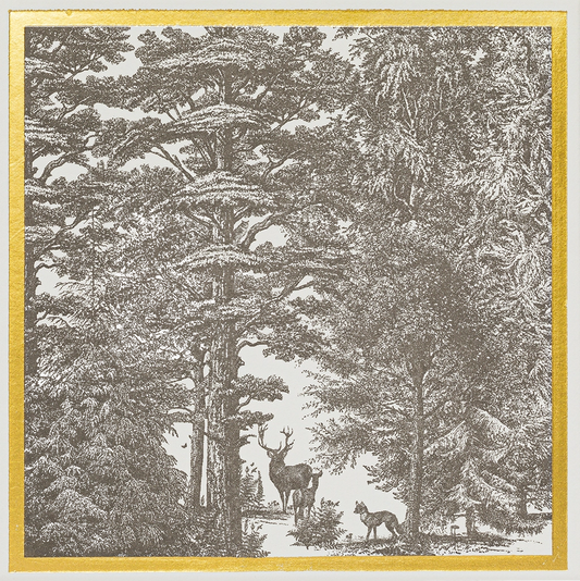 Enchanted Forest Matches | Square - Safety Matches