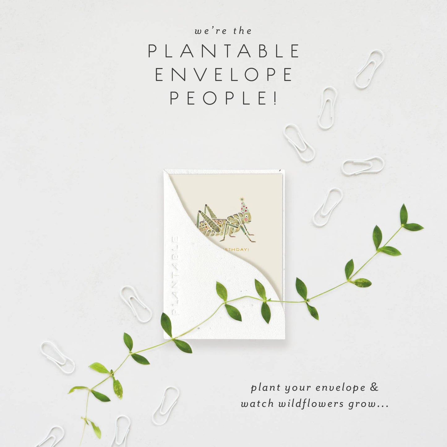 Hoppy Bday Sprout - Birthday Mini Greet 2.5 x 3.5