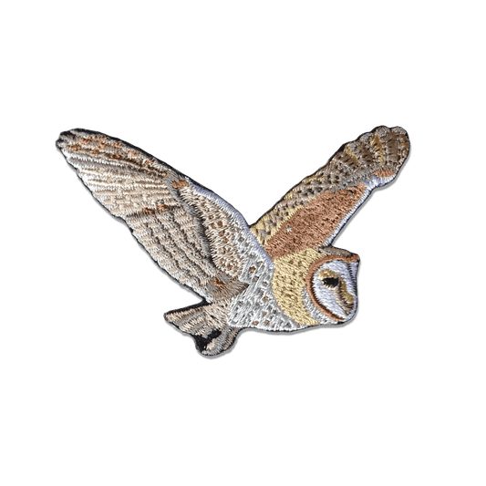 Barn Owl Patch