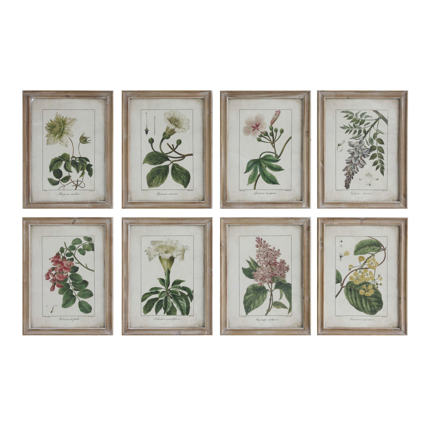 Framed Wall Decor with Floral Image