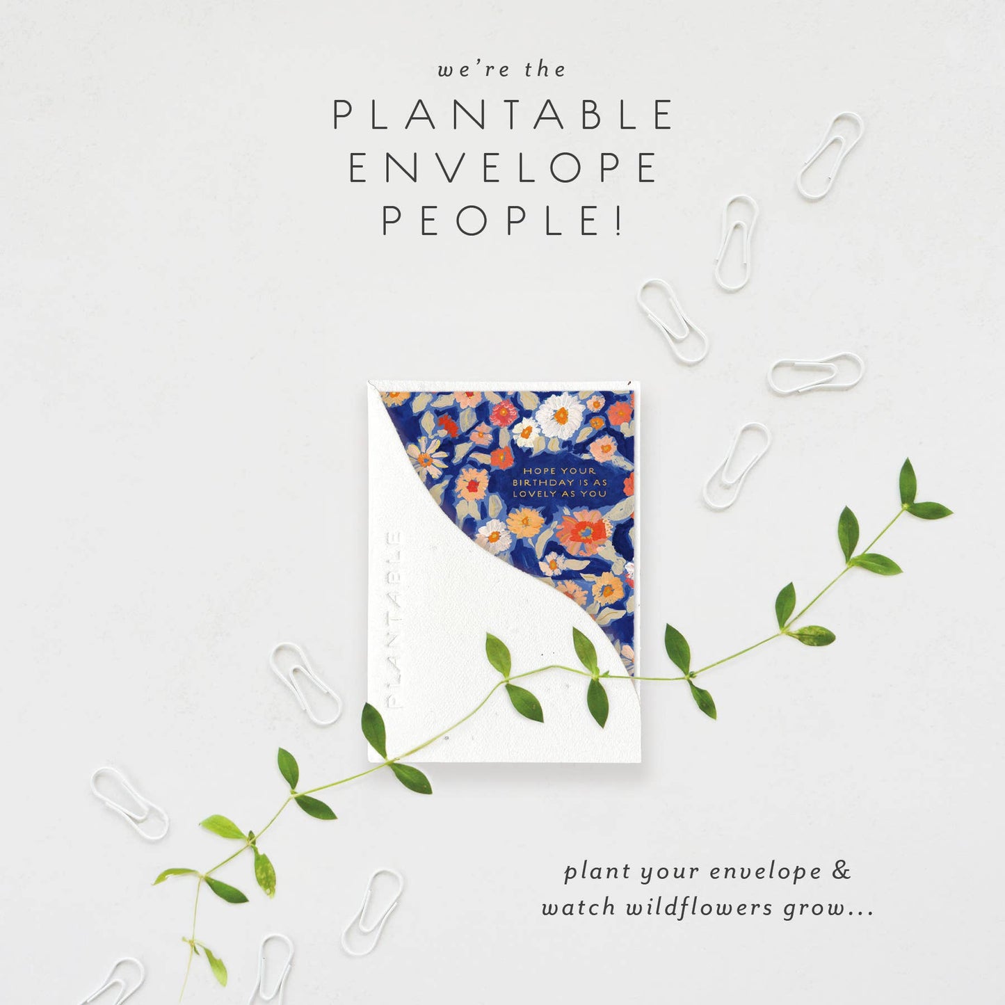 Wildflower Floral Sprout - Birthday Mini Greet Card 2.5"x3.5