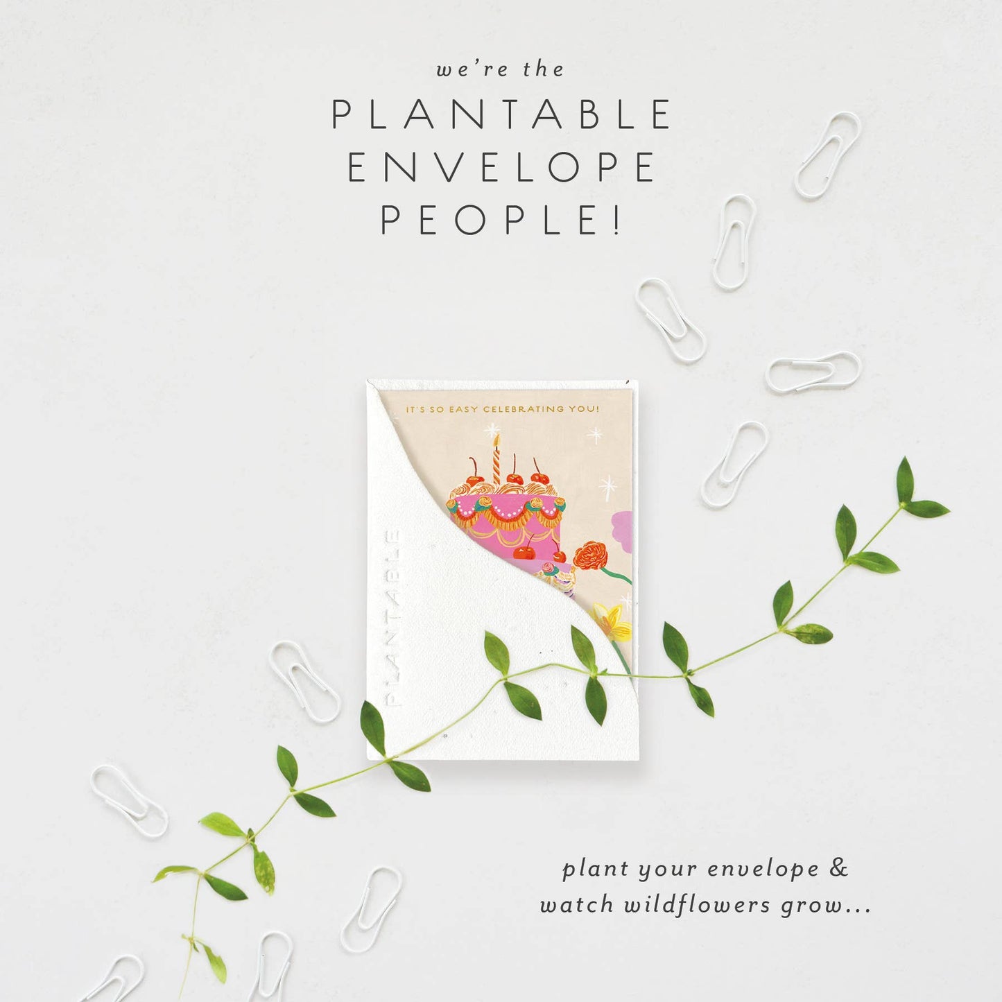 Cherry Cake Sprout - Birthday Mini Greet 2.5 x 3.5