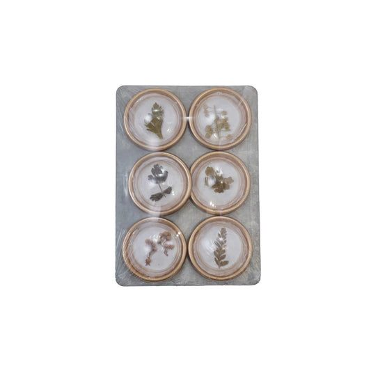 Resin Convex Magnets on Metal Card with Botanicals