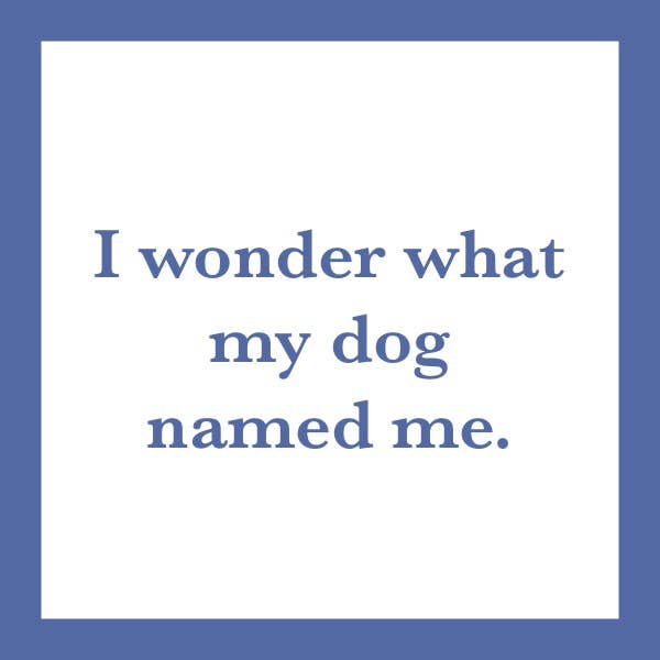 COASTER Dog Named Me | Funny Party Gift | Home Bar Decor