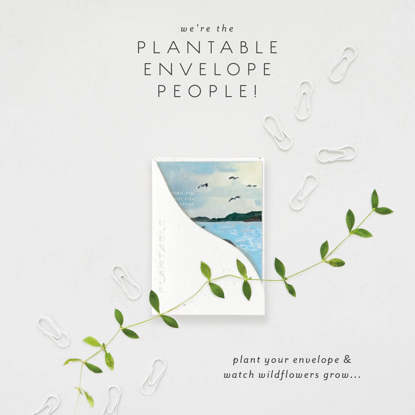 Fin Sprout - Love + Friendship Mini Greet 2.5 x 3.5