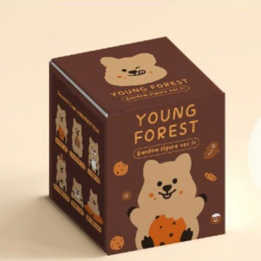 Young Forest Blind Box
