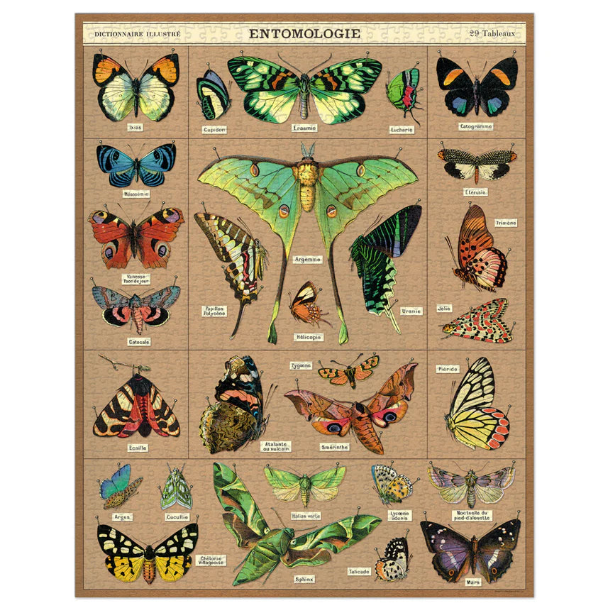 Entomology 1000 Piece Puzzle