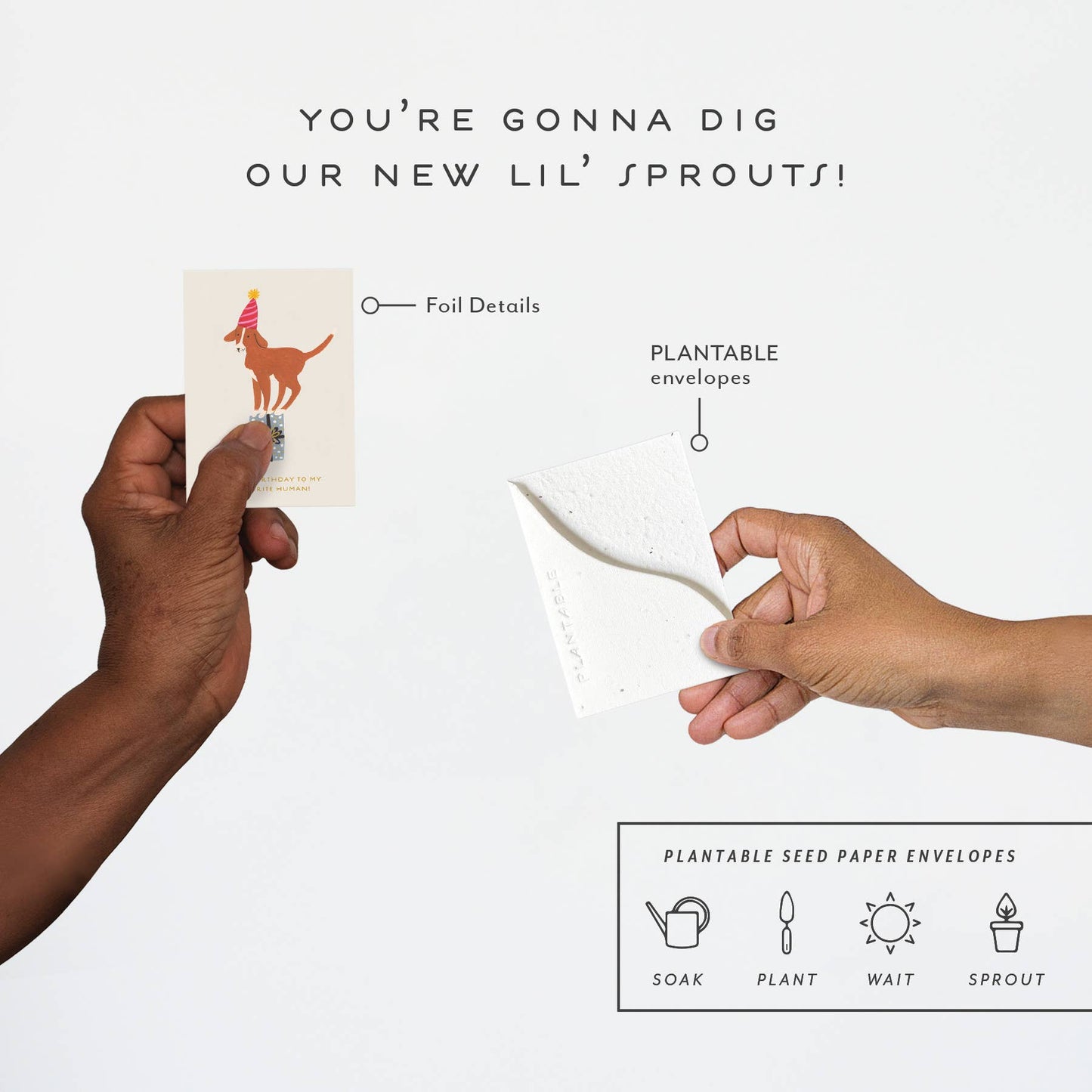 Birthday Dog Sprout - Bday Mini Greeting Card (2.5" x 3.5")