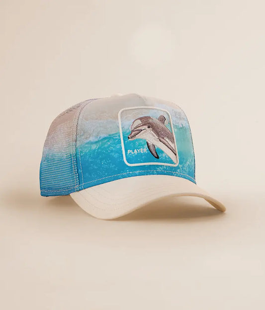 Goorin Bros. Dolphin in the Element | Dust
