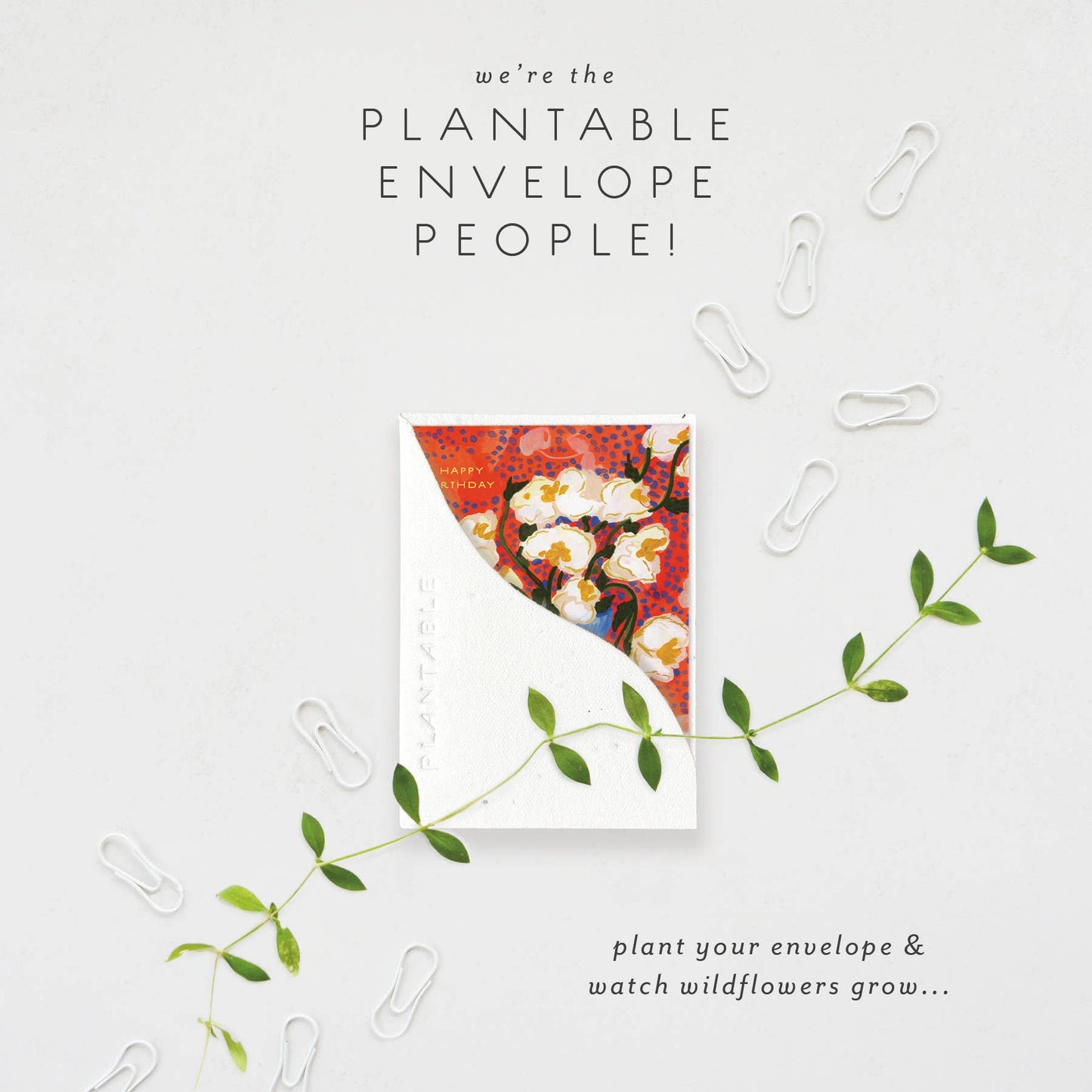 Abundance Sprout - Birthday Mini Greet 2.5 x 3.5