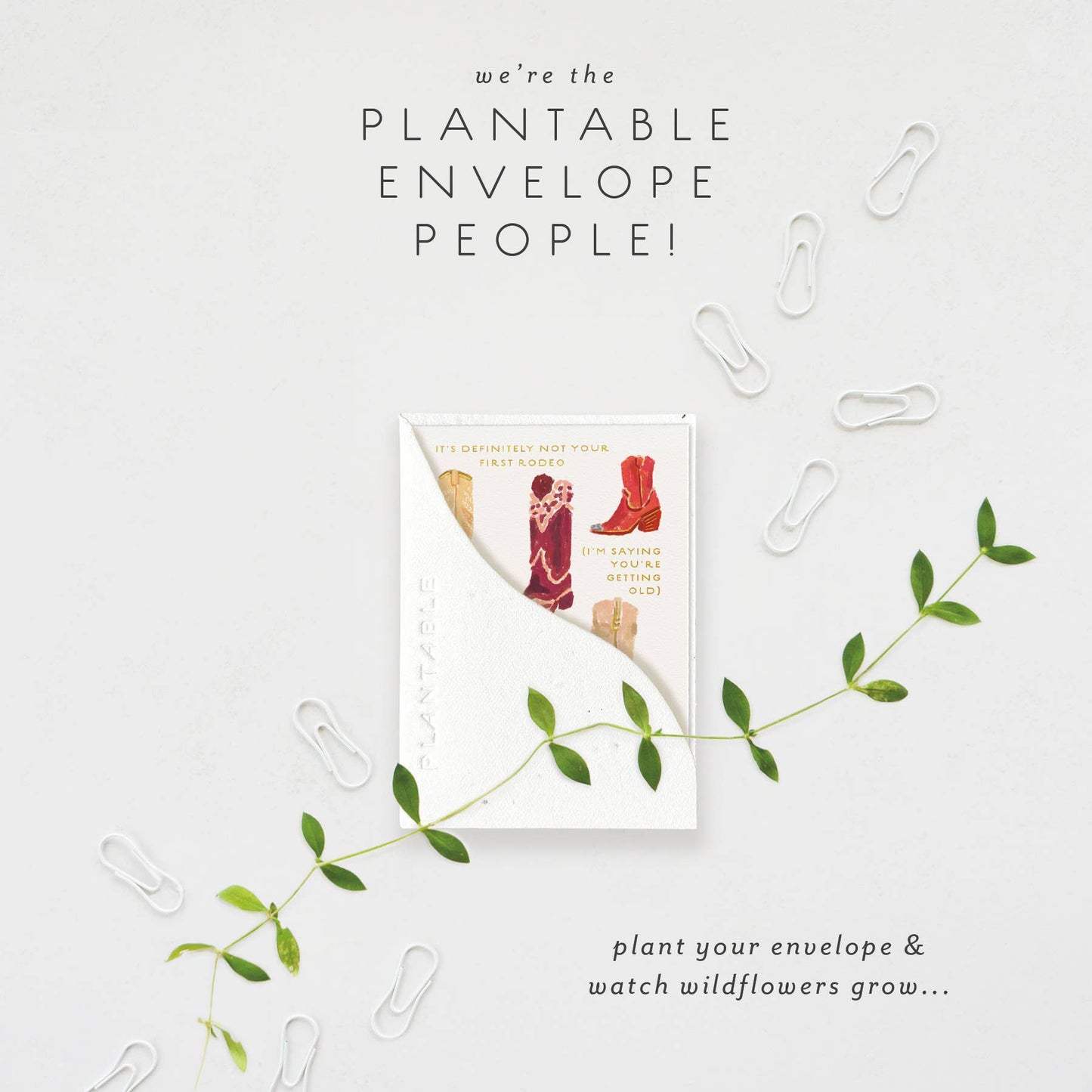 Not 1st Rodeo Sprout - Birthday Mini Greet 2.5 x 3.5