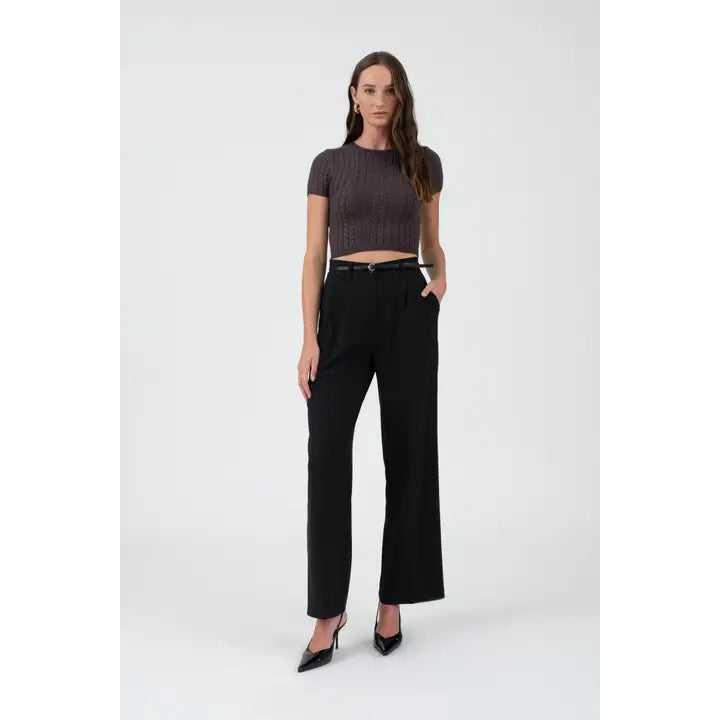 High Waist Pleated Wide Leg Dress Pants