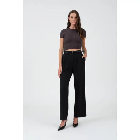 High Waist Pleated Wide Leg Dress Pants