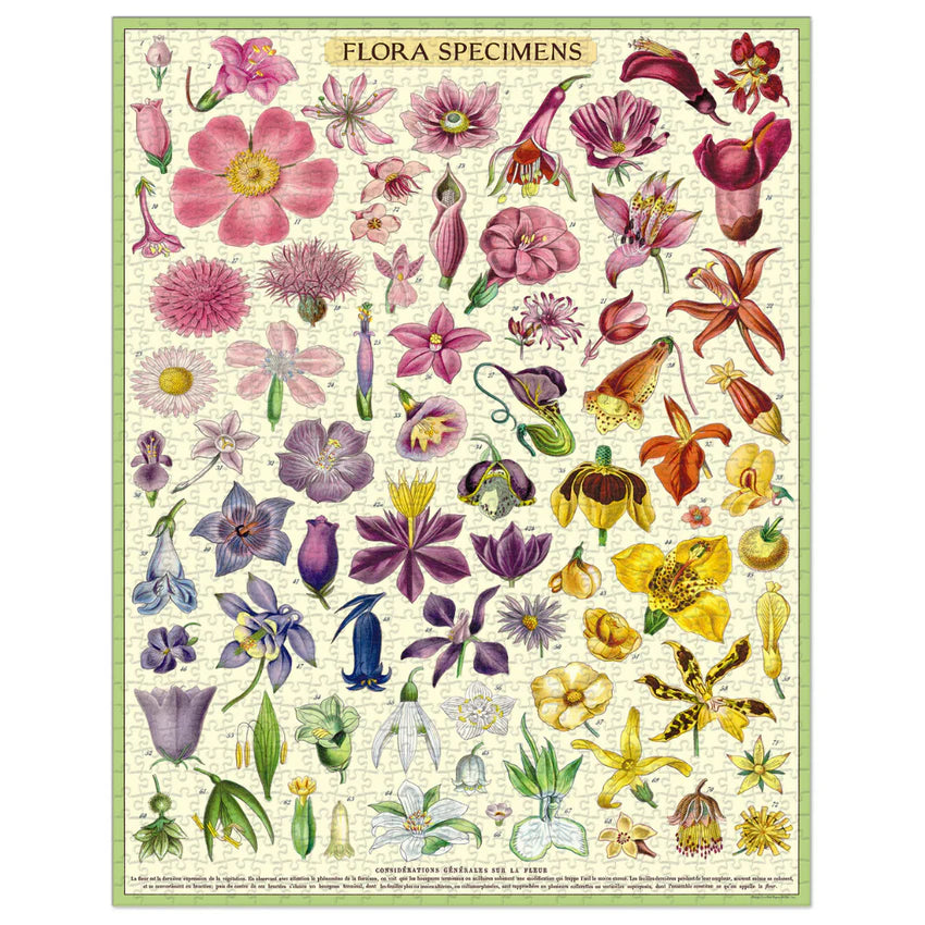 Flora Specimens 1000 Piece Puzzle