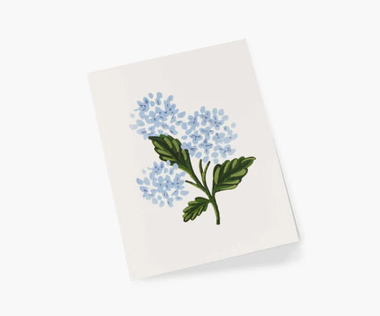 Hydrangea Bloom | Greeting Card