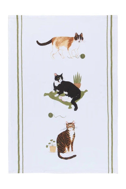 Cat Collective Bakers Floursack Dishtowels | Set of 3