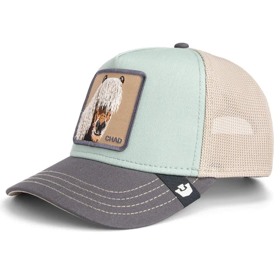 Goorin Bros. Horse Chad Trucker Hat | Tricolor