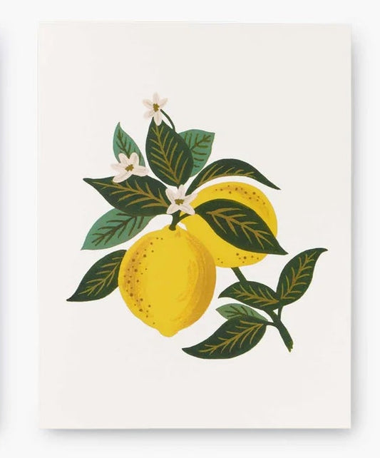 Lemon Blossom | Greeting Card