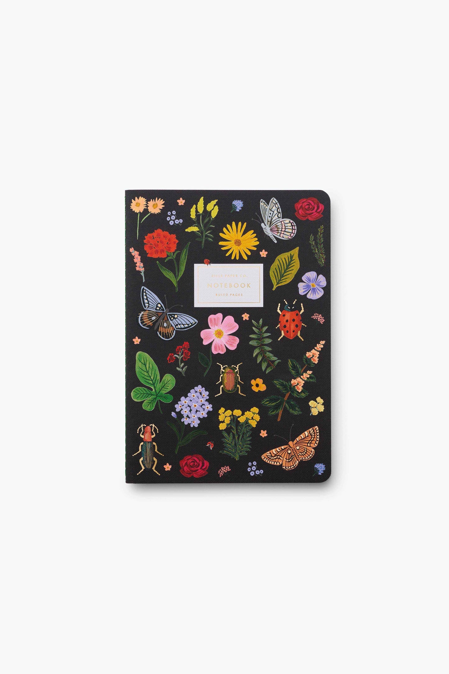 Stitched Notebook Set | Curio