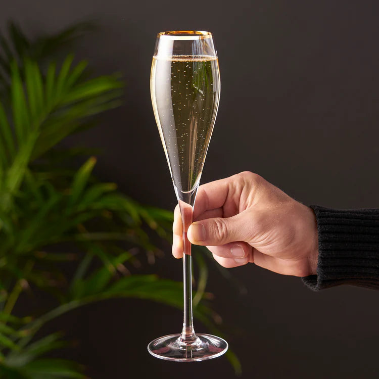 Gold Rimmed Champagne Flutes Set Of 2