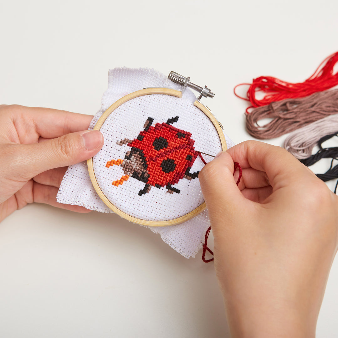 Mini Cross Stitch Embroidery Kit | Lady Bug