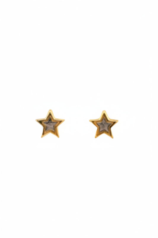 Gold & Silver Stud Earrings