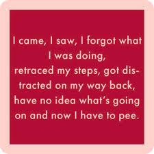 COASTER I Came I Saw