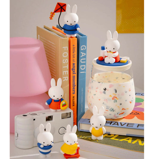 Miffy Goes Outside Blind Box