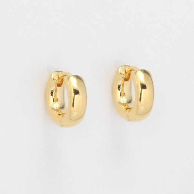 Delicate Hoop Earrings